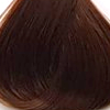 Краска для волос Botanique (KB00735, 7/35, Botanique Golden Mahogany Blonde, 60 мл)