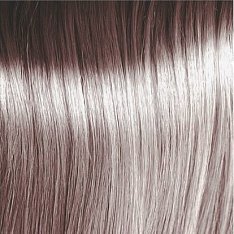 Полуперманентный краситель для тонирования волос Atelier Color Integrative (8051811451019, 9.16, блондин пепельно-фиолетовый, 80 мл, Оттенки блонд)